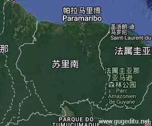 苏里南卫星地图